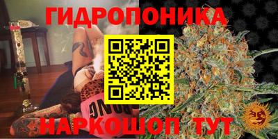 хмурый Конаково